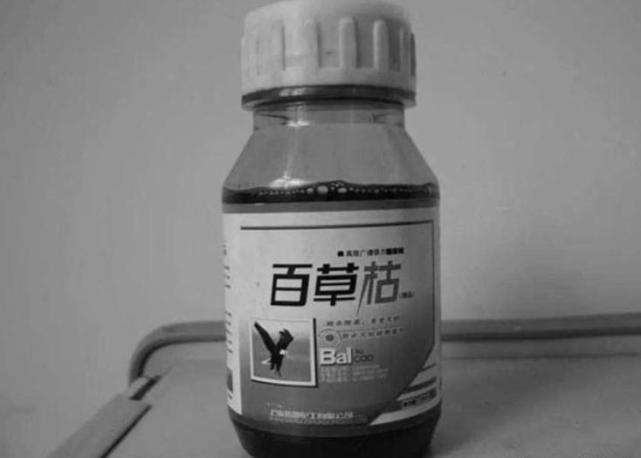 男子怀疑妻子出轨，在内裤上涂抹百草枯致其死亡