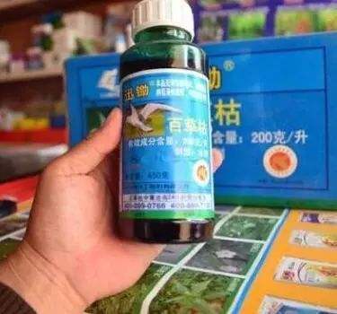 百草枯毒性那样强，为什么到现在都没有“解药”？专家说了大实话
