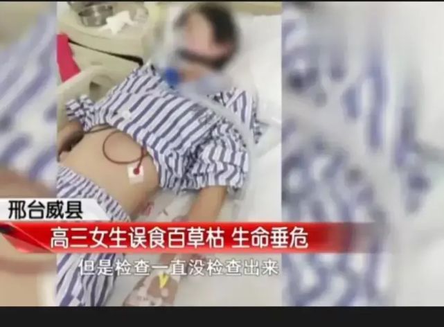 姐夫对18岁小姨子下毒手！河北女孩被投喂百草枯后抢救23天仍垂危