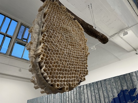 三位艺术家的作品,爬上星空间的角落、前台和木梁之下 三位艺术家的作品,爬上星空间的角落、前台和木梁之下