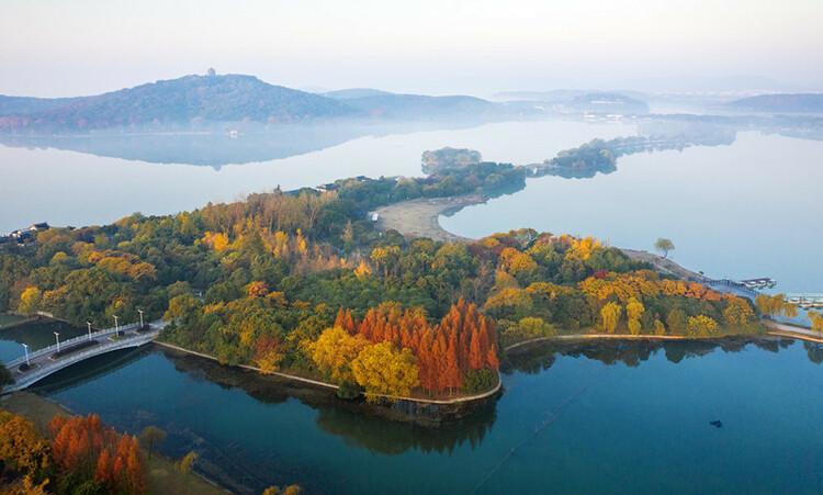 无锡滨湖：览湖光旖旎 赏绝色生香