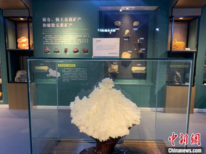 湖北地质博物馆恢复开馆 展出万余件奇石异宝