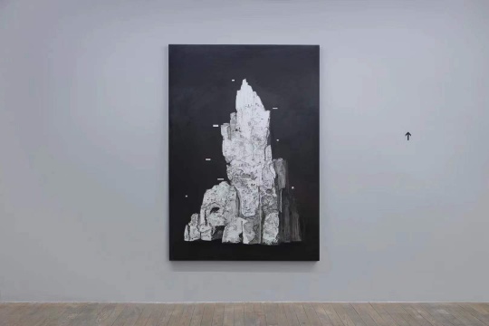朱日新个展“他者的荒原”，以Y染色体的行动轨迹为暗线的世界景观