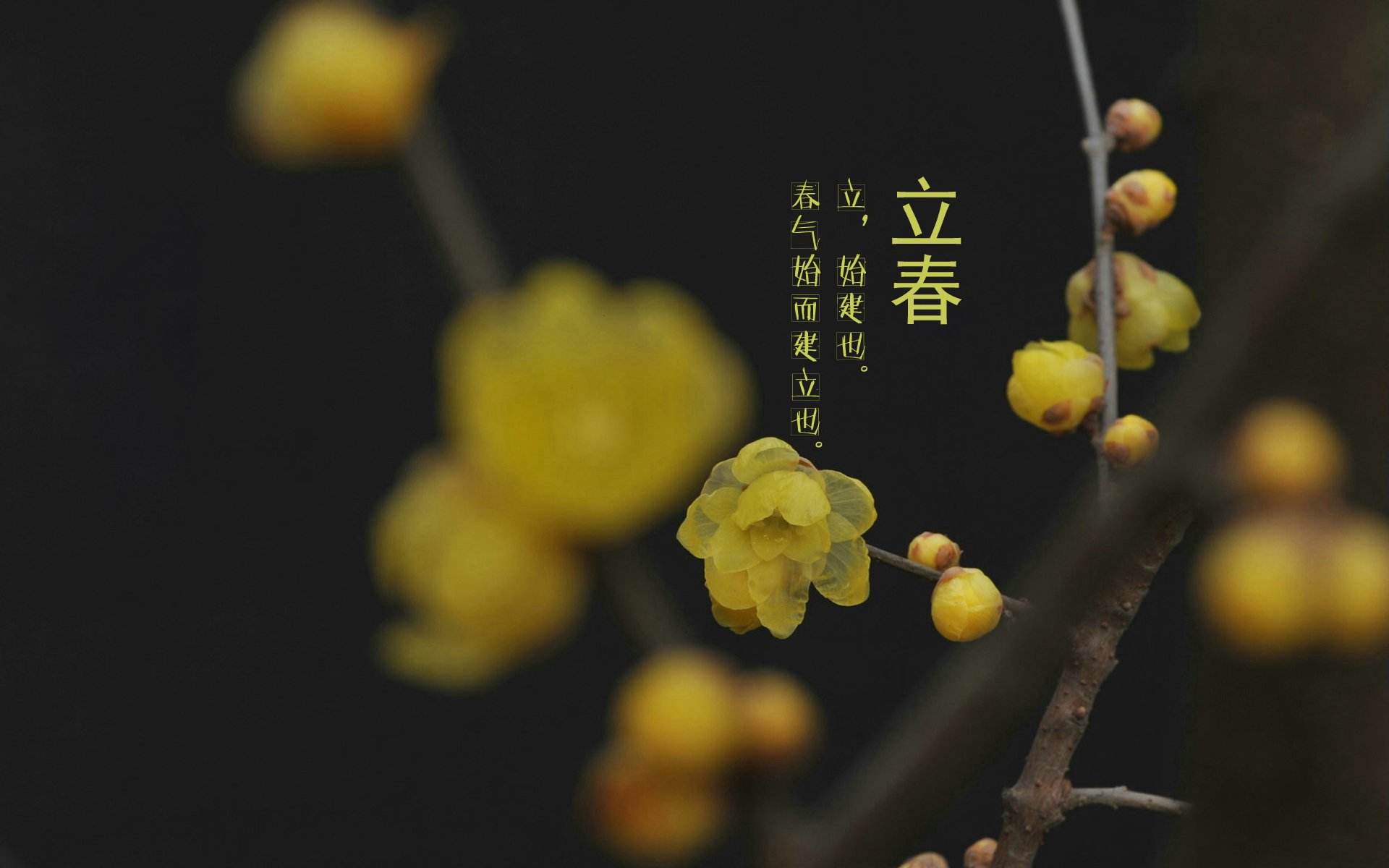 让古老智慧绽放生机
