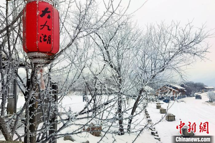 神农架大九湖国家湿地公园白雪皑皑。 王力 摄
