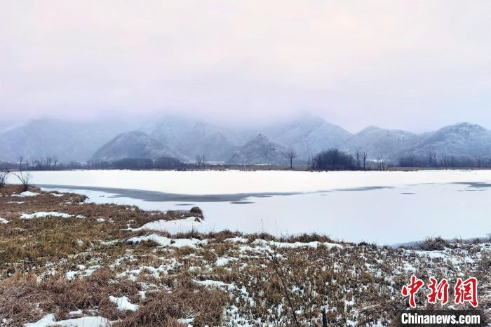 大九湖国家湿地公园白雪苍茫。 王力 摄
