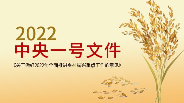 2022年一号文件全面推进乡村振兴