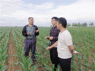 中央一号文件解读：怎样实现良田全部种粮