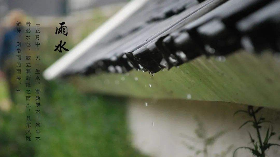 二十四节气之雨水：东风解冻 散而为雨