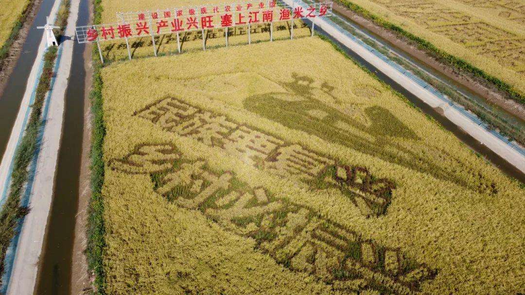 2022年中央一号文件公布！看点来了