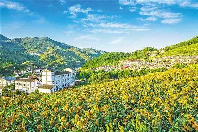 以生态文明建设推动乡村振兴