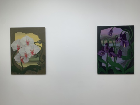 林山《蜜蜂与蝴蝶兰》80x60cm 铝板油画 2022 林山《马蹄莲精灵》80x60cm 铝板油画 2022 林山《蜜蜂与蝴蝶兰》80x60cm 铝板油画 2022 林山《马蹄莲精灵》80x60cm 铝板油画 2022