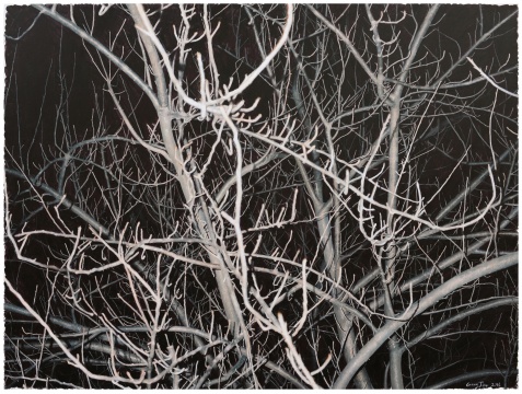 龚剑 《看这棵灰色的树 No. 12》170x230cm 布面丙烯 2016 龚剑 《看这棵灰色的树 No. 12》170x230cm 布面丙烯 2016