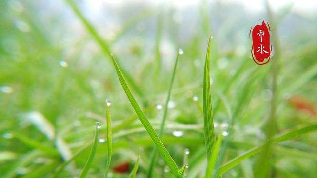 二十四节气：凡有井水处，皆知节气歌