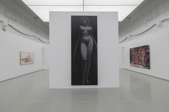 具象的“迷思”和“硬核”女孩王文婷,蜂巢当代艺术中心双展开幕 具象的“迷思”和“硬核”女孩王文婷,蜂巢当代艺术中心双展开幕