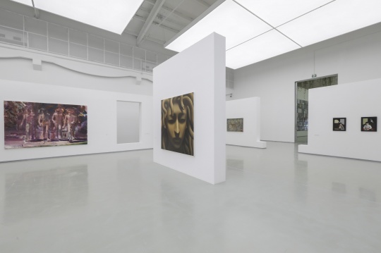 具象的“迷思”和“硬核”女孩王文婷,蜂巢当代艺术中心双展开幕 具象的“迷思”和“硬核”女孩王文婷,蜂巢当代艺术中心双展开幕