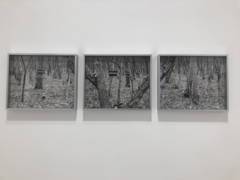 《在寂静处》 三联摄影 单幅尺寸40×50cm 2018 《在寂静处》 三联摄影 单幅尺寸40×50cm 2018