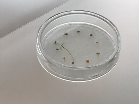 一切都源于一张旧书架,蔡锦空间 新展“信息”开幕 一切都源于一张旧书架,蔡锦空间 新展“信息”开幕