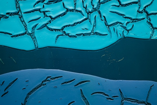 《无题》360×244×10cm 木板丙烯 2014 局部 《无题》360×244×10cm 木板丙烯 2014 局部