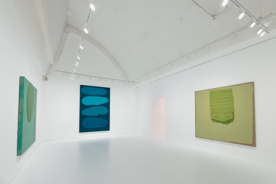在艺·凯旋画廊,感受关音夫的“肉眼重力” 在艺·凯旋画廊,感受关音夫的“肉眼重力”