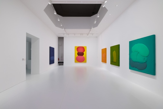 在艺·凯旋画廊,感受关音夫的“肉眼重力” 在艺·凯旋画廊,感受关音夫的“肉眼重力”