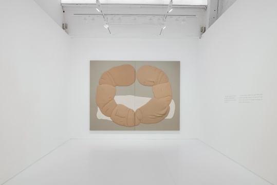 在艺·凯旋画廊,感受关音夫的“肉眼重力” 在艺·凯旋画廊,感受关音夫的“肉眼重力”