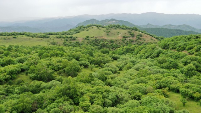 这是6月7日拍摄的关山林场美景（无人机照片）。