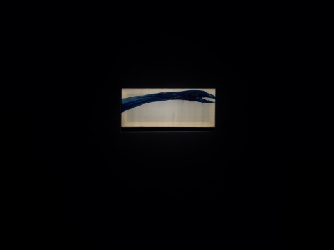 欹梅—周岩个展:散落在“龚自珍故居”纠缠的记忆与线索 欹梅—周岩个展:散落在“龚自珍故居”纠缠的记忆与线索