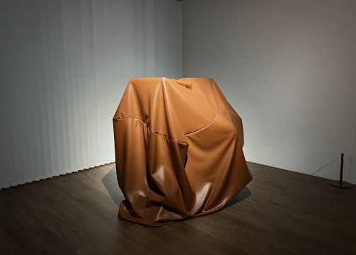 《防尘罩》(Dust Cover)人造革和木头 137×170×77cm 2021 《防尘罩》(Dust Cover)人造革和木头 137×170×77cm 2021