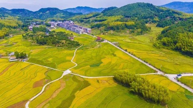 弘扬岭南优秀传统文化 促进乡村文旅融合发展