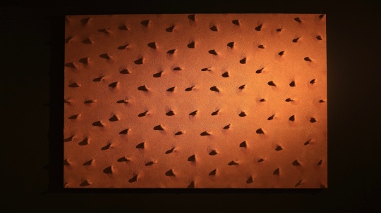 生命的型状——局, 布面油画,胶管, 300cmx200cmx10cm, 2017 生命的型状——局, 布面油画,胶管, 300cmx200cmx10cm, 2017