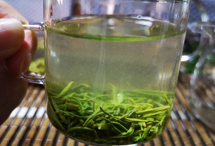 春茶选购秘籍，看这几点就够了 
