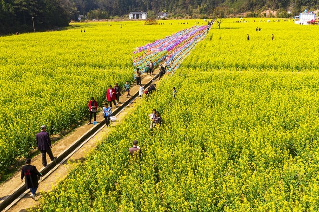 游人赏花观景，尽享美好春光。詹继成摄