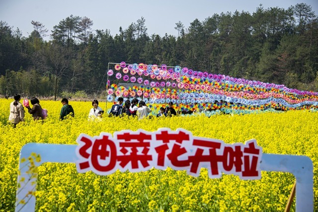 游人赏花观景，尽享美好春光。詹继成摄