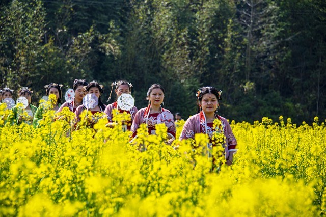 游人赏花观景，尽享美好春光。詹继成摄