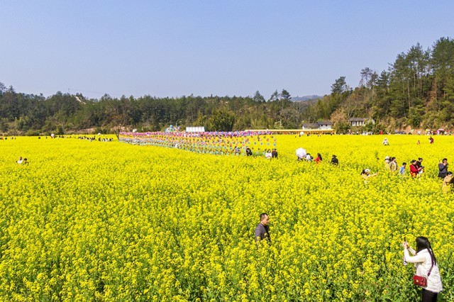 游人赏花观景，尽享美好春光。詹继成摄