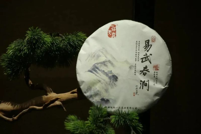 品味森林味道：山不过来，我就带你去访山