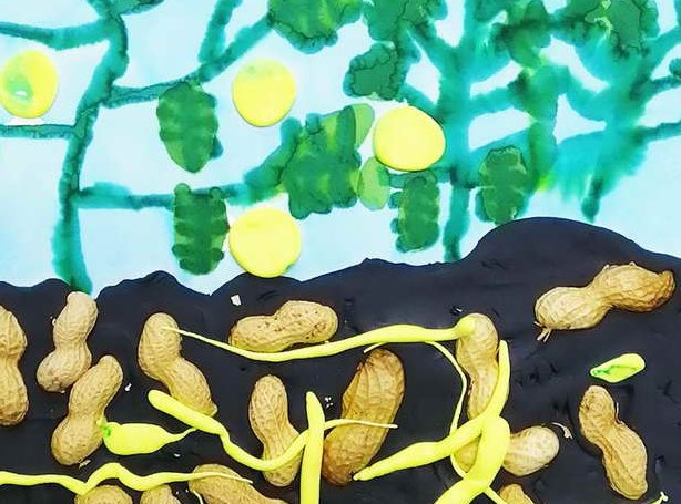痔疮不能吃什么食物