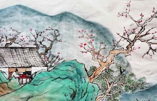 白梅花什么人不能喝