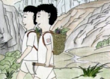 三类人不能吃冬虫夏草