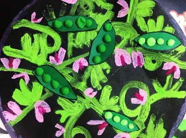 菜豆的功效与作用