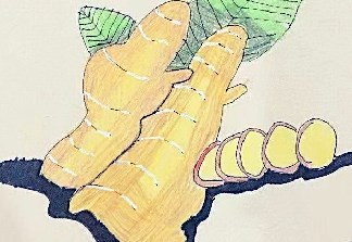 生姜汤的功效与作用