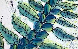核桃芝麻粉的功效与作用