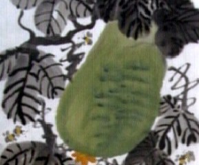 肾病吃什么食物好