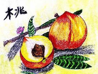 桃子是什么季节的水果