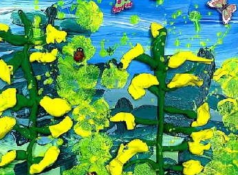 小油菜的功效与作用