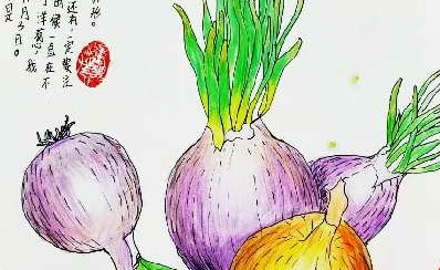 凉拌洋葱的功效与作用