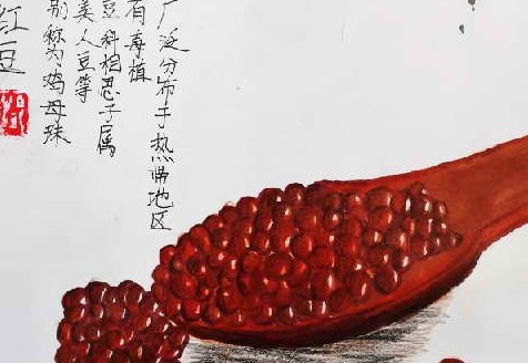 吃什么食物能去湿气