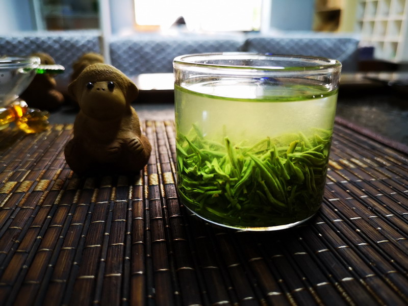 信阳毛尖的功效与作用