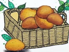 发芽土豆去掉芽能吃吗